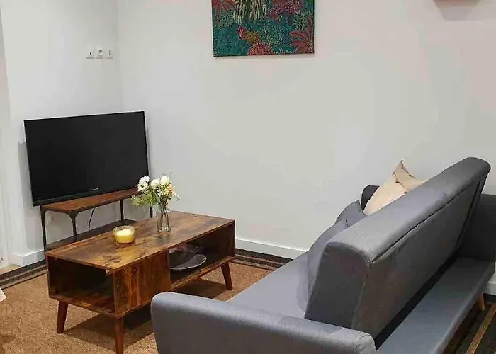 Appartement 40M2 Centre De Vichy