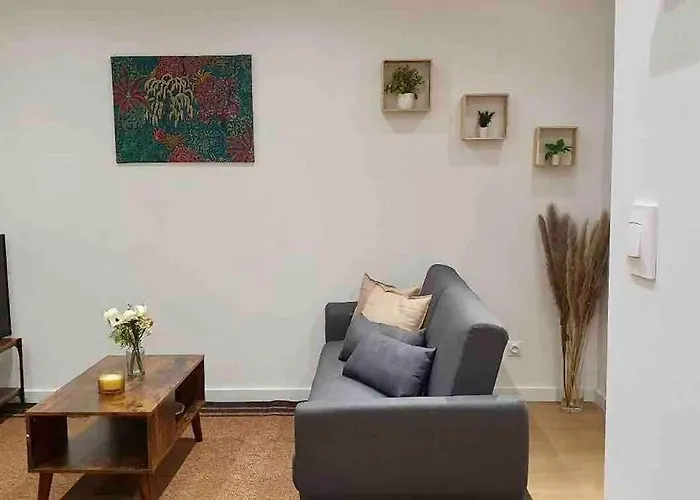 Appartement 40M2 Centre De Vichy
